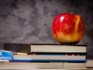 TAG Courses and Schedule